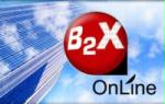 B2X Online, Inc. B2X Online, Inc.